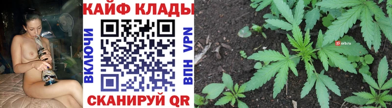 ЭКСТАЗИ Починок
