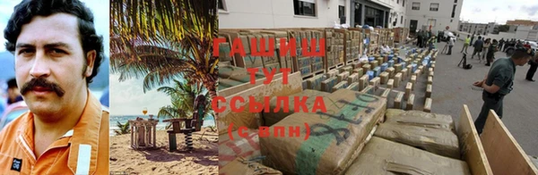 стафф Алзамай
