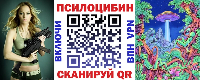 хочу   Починок  Галлюциногенные грибы Psilocybine cubensis 